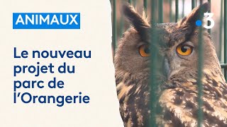 Fini le zoo de lOrangerie découvrez à quoi va ressembler le nouveau parc animalier à Strasbourg [upl. by Eriuqs641]