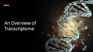 An Overview of Transcriptome [upl. by Ysac]