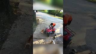 Man in Wheelchair with Four Aggressive Dogs [upl. by Tychon]