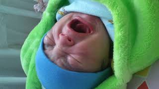 New Born Baby First crying so cute [upl. by Tam897]