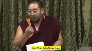 Chitue Khenpo Kadag Ngodup Sonam tibetanyoutuber tibetanvloger tibetan [upl. by Elocen142]