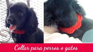 Collar para Perros y Gatos a Crochet 🐶🐱 Todas las tallas  Enredados entre Hilos [upl. by Yruy]