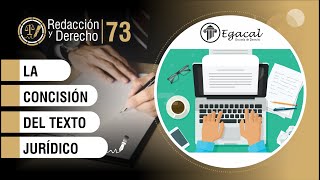 La concisión del texto jurídico  Redacción y Derecho  73 [upl. by Rialcnis934]