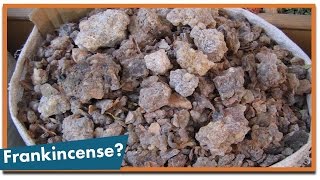 What Are Frankincense and Myrrh [upl. by Basil290]