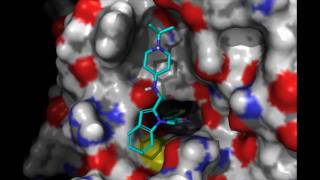 Factor Xa Inhibitors [upl. by Konstantin251]