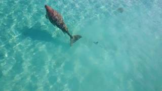 Ningaloo Station North Lefroy Bay [upl. by Eixela352]