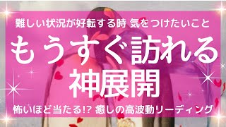 怖いほど当たる あなたに訪れる高次元な神展開 運命が動く新たな出会い 先に続く道が見えました 変容します 気をつけること 重要なメッセージ 魂を癒す 高波動リーディング タロット＆オラクル 3択占い [upl. by Leba]