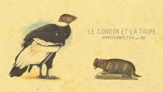 07  LE CONDOR ET LA TAUPE Hippocampe Fou feat céo [upl. by Neville]