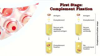 Complement Fixation TestCFT بالعربي [upl. by Ellered]