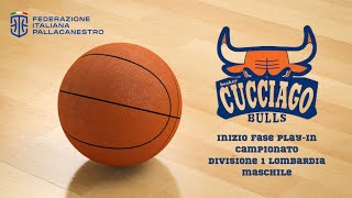 Cucciago Bulls  Inizio Play In Divisione 1 [upl. by Nevyar191]