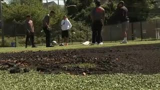 New York Red Bulls step in to help soccer team after field vandalized [upl. by Navert941]