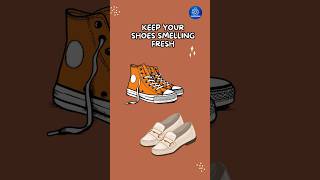 Keep Your Shoes Smelling Fresh shorts hack shoes tea [upl. by Molini350]