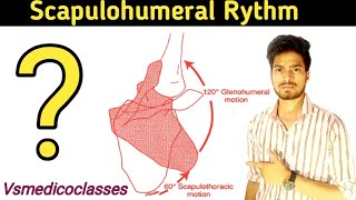 scapulohumeral rhythm in hindi  scapulohumeral rhythm biomechanics  scapulohumeral rhythm in hindi [upl. by Adivad]