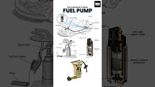 How does Fuel Pump Works Electric amp Mechanical Fuel Pump fuelpump pump shorts youtubeshorts [upl. by Cummine418]