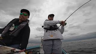 WESTERNPORT WHITING IN THE RAIN WITH XAVIER [upl. by Rehpinnej]