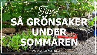 Så grönsaker under sommaren [upl. by Eessej8]