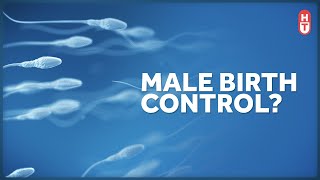 Why Isnt there a Birth Control Pill for Males [upl. by Millur282]