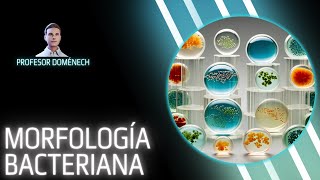 MORFOLOGIA BACTERIANA descubre las formas bacterianas más extrañas del mundo [upl. by Guevara749]