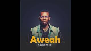 Yo Maps  Aweah Sammie Cover [upl. by Remo708]