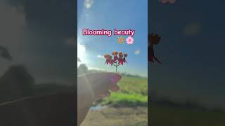 Blooming 😍🌱viralvideo nature village short youtubeshorts [upl. by Ellenad917]