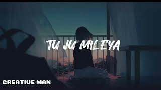 JUSS Tu jo mileya slowedampremix MixSingh [upl. by Koran942]