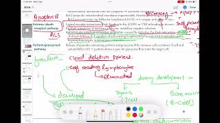 Apoptosis  perforin and granzyme B Pathology 9 First Aid USMLE Step 1 in UrduHindi [upl. by Engelhart]