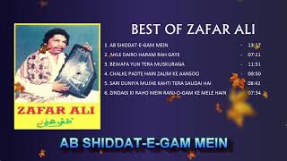 BEST OF ZAFAR ALI [upl. by Idnib]