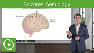 Seizures Semiology  Clinical Neurology [upl. by Eirot]