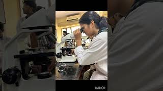 Afb staining in micro ucmsmedical neet2024 neet2022mamcucms practical microbiology mbbs [upl. by Yenitsed54]