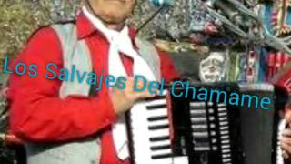 Los Salvajes Del ChamameGorosito [upl. by Rett]