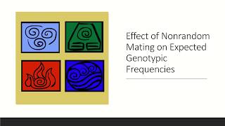 Why Allele Frequencies Change [upl. by Masson]