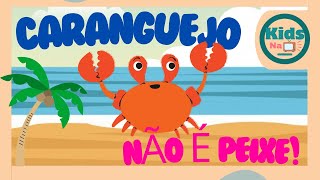 Caranguejo não é peixe música infantil  coreografia  video clip original  kids na tv [upl. by Nowyt]