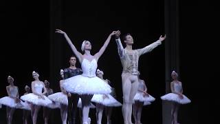 Valery Ovsyanikov Dorothée Gilbert Hugo Marchand Thomas Docquir applause  Swan Lake 1722019 [upl. by Ingalls]