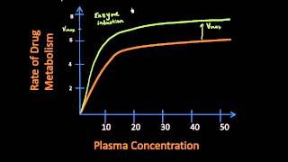 Enzyme Induction  Pharmacokinetics Lect 16 [upl. by Codel860]