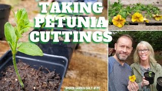 🌺 🧪 Taking Petunia Cuttings  SGD 195 🌺 🧪 [upl. by Bernice]