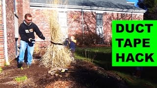 How to Trim Pampas Grass with Duct Tape [upl. by Jephum]