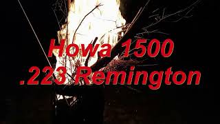 Howa 1500 223 Remington Mini Action [upl. by Nolasba]