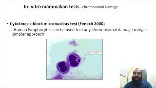 Genotoxicity and mutagenicity testing III Part 8 [upl. by Silecara]