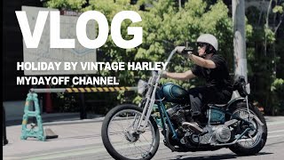 【ハーレー】パンヘッドに乗る20代の休日HarleyDavidsonchoppermotovlog [upl. by Michaud]