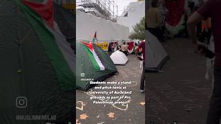 🇵🇸AUCKLAND UNI STUDENTS PITCH TENTS ON GROUNDS palestine auckland news reels shorts viral [upl. by Lucho879]