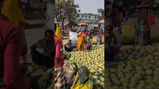 agricultura agrifood vegetablefood foodandagriculture vegetarianfood streetfood fruitcrops [upl. by Ainsworth]