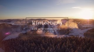 Skiliftkarussell Winterberg  Sauerland  Skigebiet Luftaufnahmen  Drohne  Stock Footage [upl. by Tnayrb]