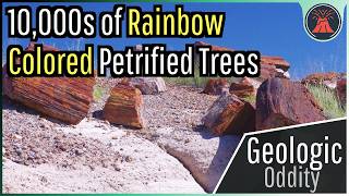 The Geologic Oddity in Arizona Petrified Forest National Park [upl. by Heathcote]