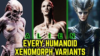 15 Every Types Of Humanoid Xenomorph Variants Who Are Pure Nightmare Fuel  Explored In Detail [upl. by Barcus222]