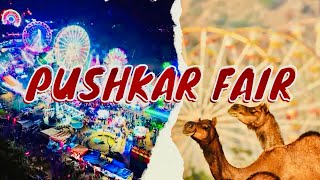 World largest camel fair pushkar full Details 🐪 [upl. by Aneetak]