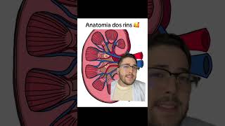 ANATOMIA DOS RINS VIDEO AULA biologiaetc [upl. by Pfaff379]