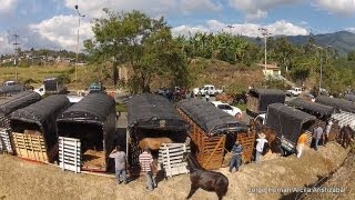 Cabalgata Armenia Quindio 2013 [upl. by Oona]