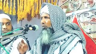 maulana Anwarul Islam Balirbond  New Bangla Waz [upl. by Josi]