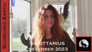 SAGITTARIUS  DECEMBER 2023  The Double Flashbang Of Clarity amp Action [upl. by Shiekh422]