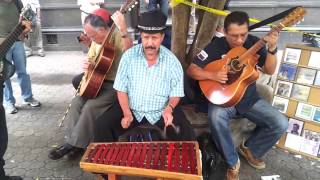 Downtown San Jose Costa Rica Street Music [upl. by Einram652]